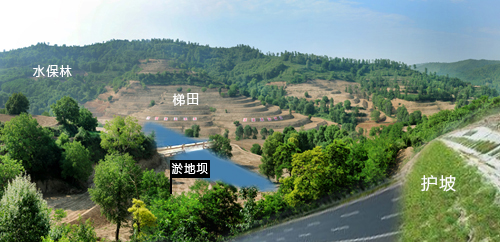 20200430158821777261.jpg 1.jpg